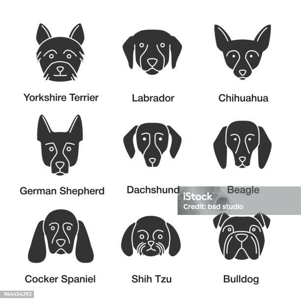 Dog Breeds Icons Stock Illustration - Download Image Now - English Bulldog, Icon Symbol, Cocker Spaniel