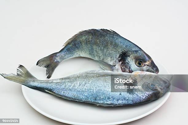 Pesci Crudi - Fotografie stock e altre immagini di Afferrare - Afferrare, Alimentazione sana, Animale
