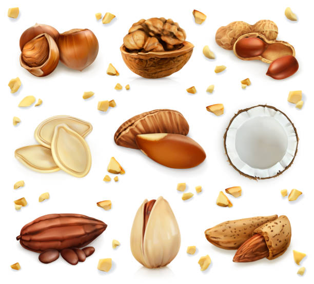 ナッツ シェル、ベクトルのアイコンを設定で - hazelnut nut seed pod点のイラスト素材／クリップアート素材／マンガ素材／アイコン素材