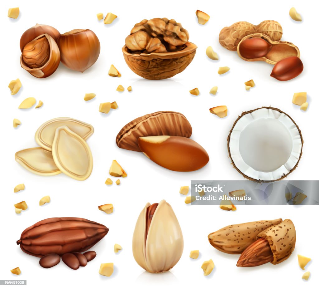 Nuts in the shell, vector icon set Walnut stock vector