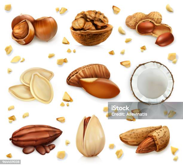 Nuts In The Shell Vector Icon Set Stock Illustration - Download Image Now - Walnut, Nut - Food, Peanut - Food