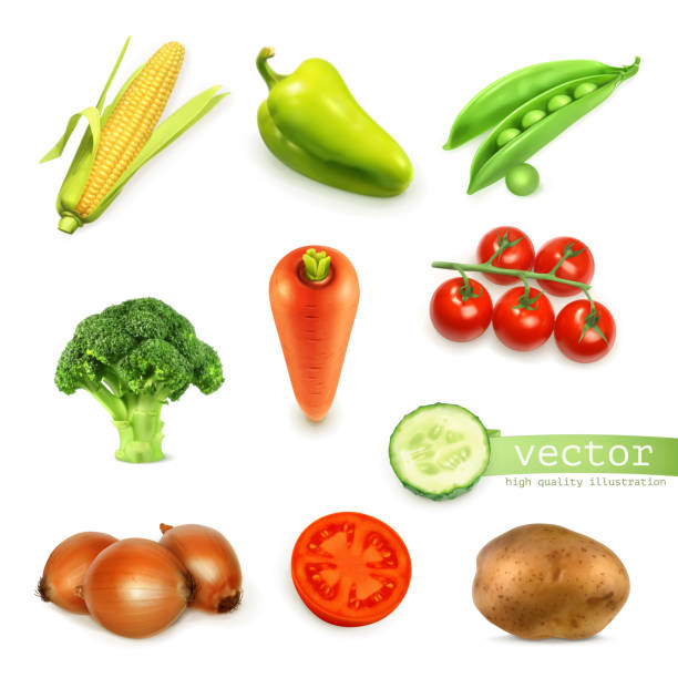 satz von gemüse, vektor-illustration - kartoffel grundnahrungsmittel stock-grafiken, -clipart, -cartoons und -symbole