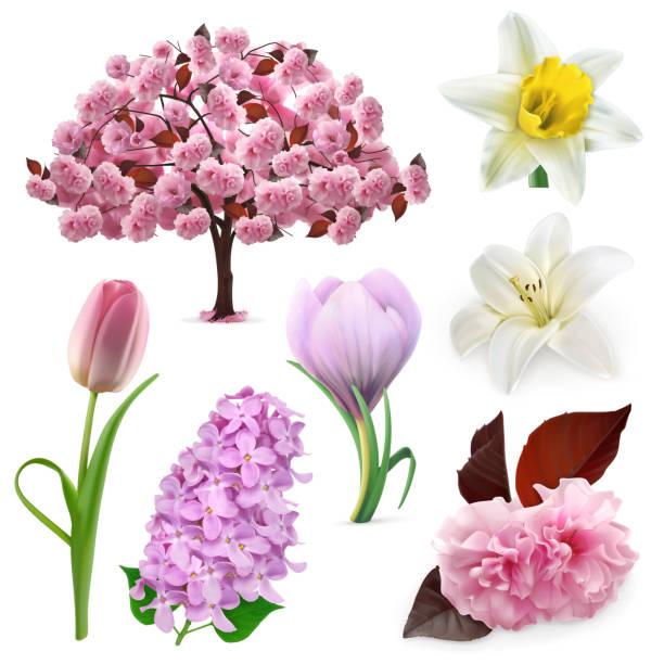 wiosenne kwiaty, zestaw ikon wektorowych - field tulip flower tree stock illustrations