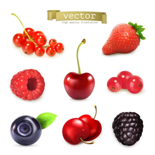 ilustrações de stock, clip art, desenhos animados e ícones de sweet berries, vector illustration set of high quality - currant red isolated fruit