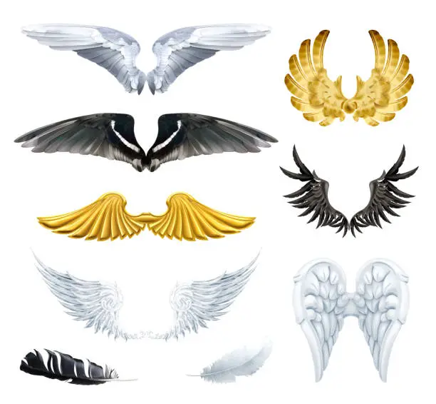 Vector illustration of Wings, set vector illustrations