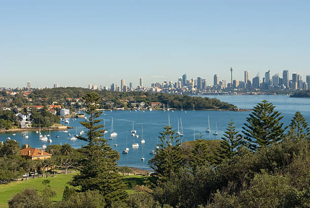 istock Watsons Bay, Sydney, Australia 96447213