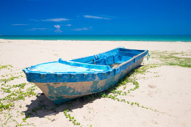 istock tropical beach in Sri Lanka 964475346