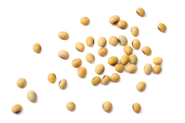 istock Soybeans isolated on white background. top view 964479952