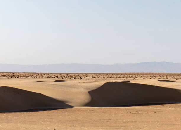 istock hot day in the Sahara desert 964480016
