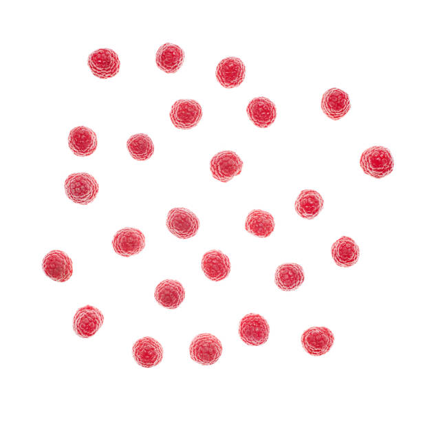 istock Simple squared flatlay with ripe organic raspberries on white, top view 964480110