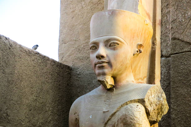istock the dawn of Ramses II and the confident bird 964480862
