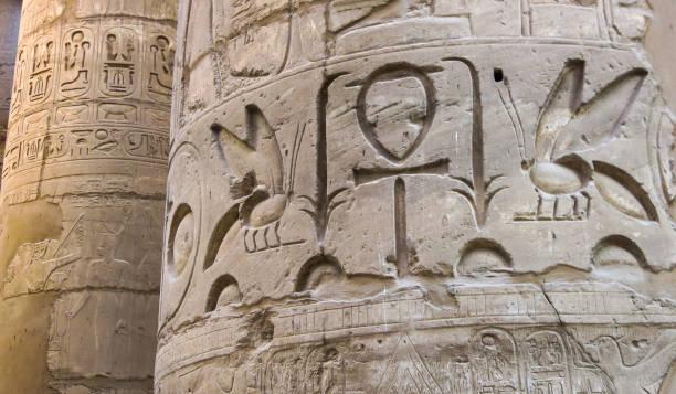 jeroglíficos de abejas egipcias - columnas de karnak, luxor - hieroglyphenschrift fotos stock-fotos und bilder