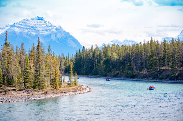 Tourists drifting the Jasper  Athabasca River in September. These guide rafting tours are quite popular tourist attractions in Jasper National Park.