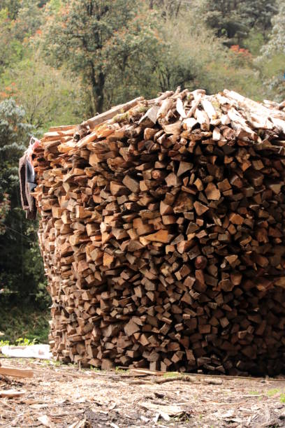 istock Round pile of stacked firewood 964486998
