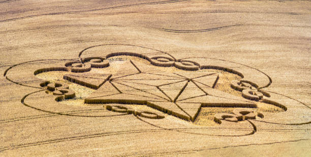 Crop circle appeared on the field - unbeliev