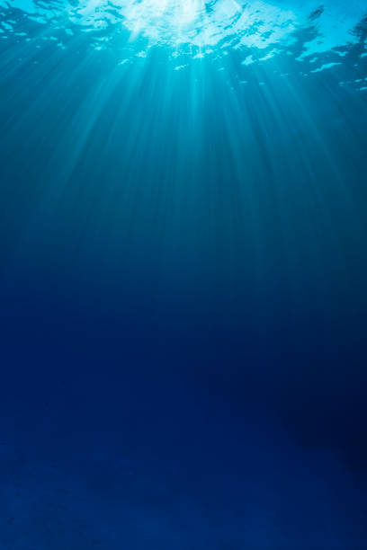 rayo de sol, mar caribe - subacuático fotografías e imágenes de stock