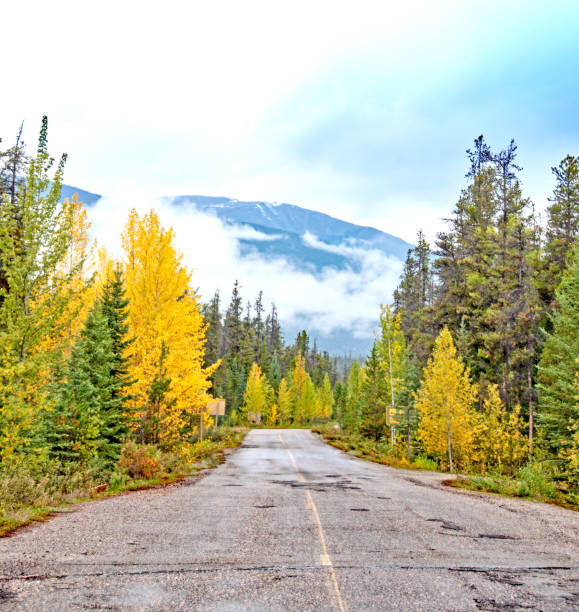 istock View from Jasper National Park Athabasca River road 964522678