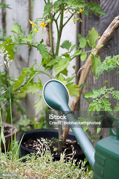 Watering Can Stock Photo - Download Image Now - Color Image, Cultivated, Dirt