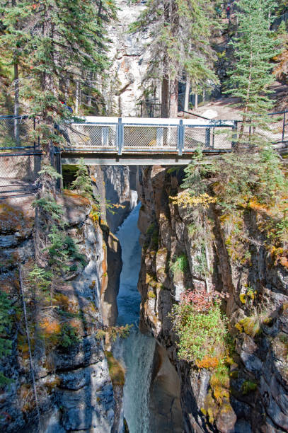 istock Bridge  on Jasper  Maligne River canyon in September. 964522852
