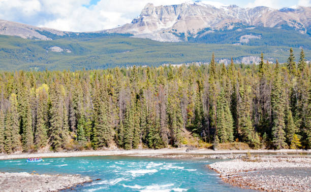 istock View from Jasper National Park Athabasca River     Autumn 964522870