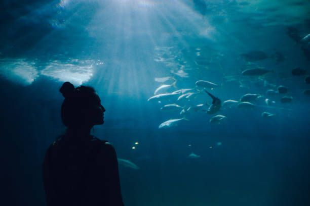 Young woman looking at fish in the aquarium Silhouette of a young woman watching fish in a large aquarium. fish tank photos stock pictures, royalty-free photos & images