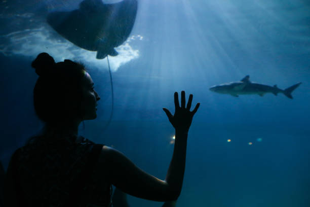 istock Young woman looking at fish in the aquarium 964527900