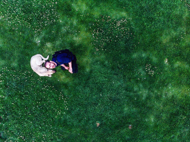 istock Man With Dog From Above on Green Grass 964536174