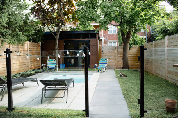 istock Cat relaxing on the grass near a swimming pool 964576790