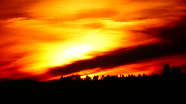 istock Sunset glow over the fir trees 964579874