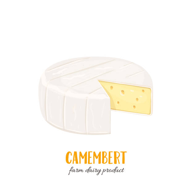 camembert cheese icon Vector camembert cheese icon. Illustration dairy product for menu design. Cartoon style. brie stock illustrations