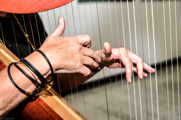 istock An Irish Colleen plays the Irish Harp 964602840