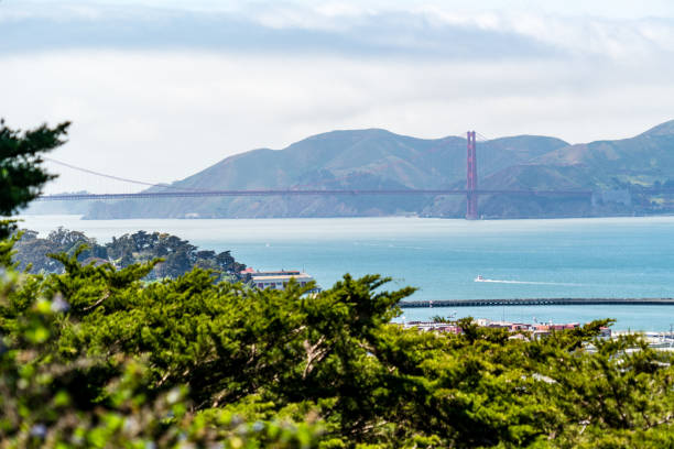 istock West Coast Breeze San Francisco, California Overlook View 964605874