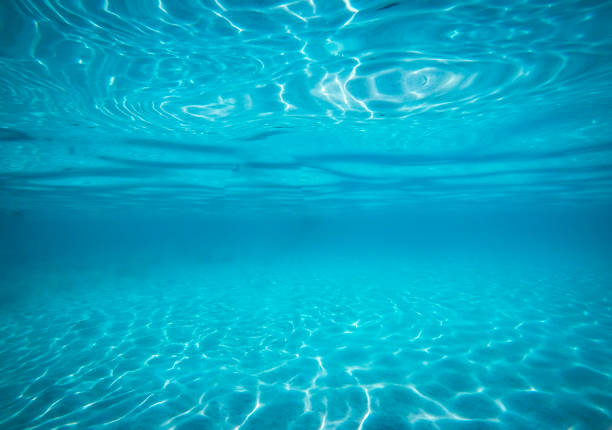 istock Under the sea Underwater blue dive Island 964647734