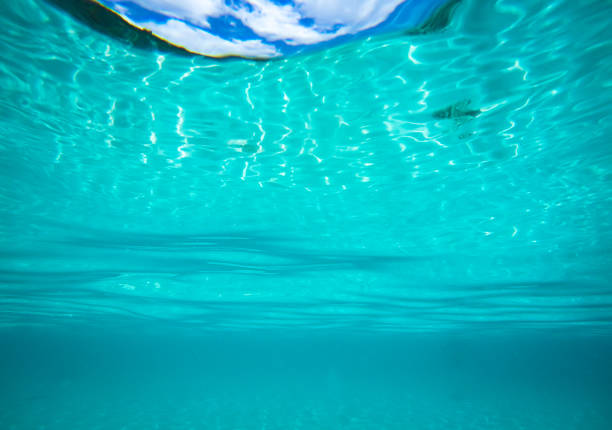 istock Under the sea Underwater blue dive Island 964648130