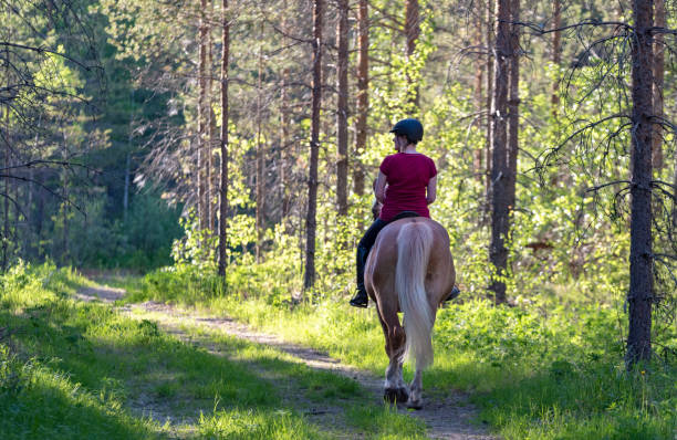 istock Woman horseback riding in forest 964669442