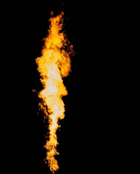 Photo of Isolated flame column. Fire jet goes from gas burner.