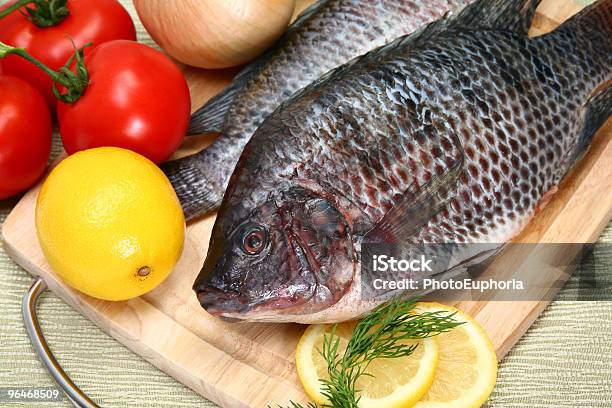 Frescos Ttilapia - Fotografias de stock e mais imagens de Tilapia - Tilapia, De Corpo Inteiro, Peixe