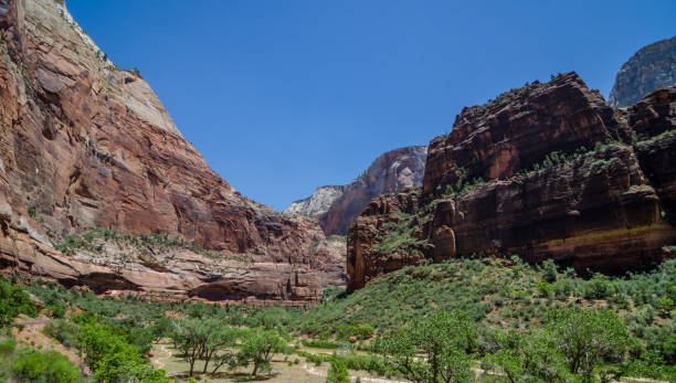 istock Red Rock mountains in Zion National Park 964689082