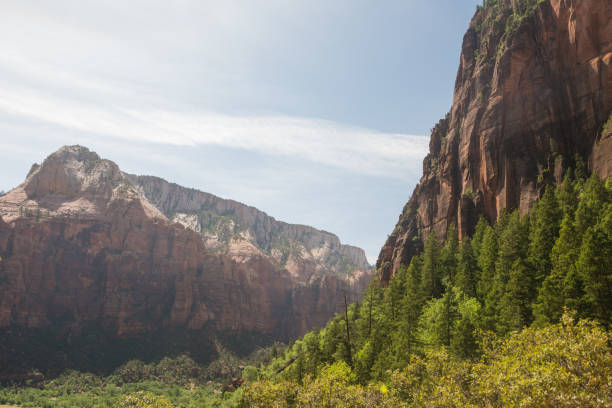 istock Zion National Park Mountain Landscape in Utah Spring 964689446