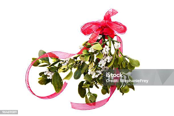 Fresh Green Mistletoe Stock Photo - Download Image Now - Mistletoe, White Background, Berry