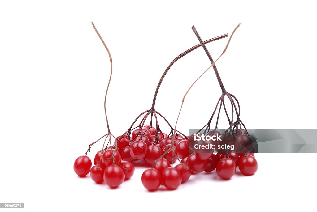 Fresh berries clusters of a cranberry  Berry Fruit Stock Photo