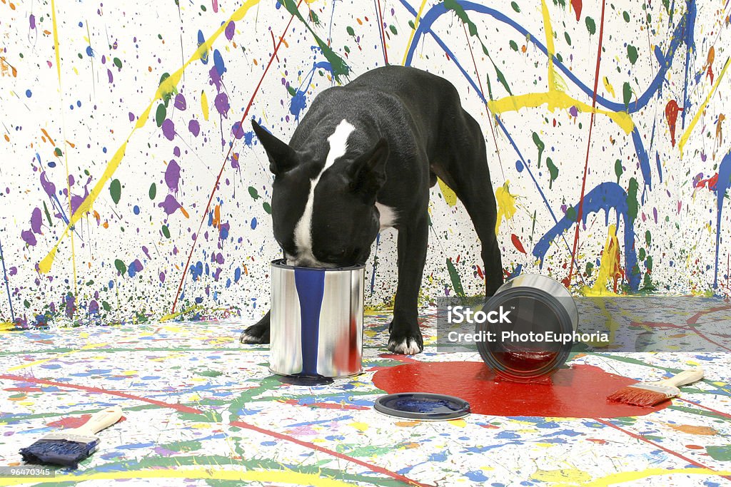 Artistic Pup  Dog Stock Photo