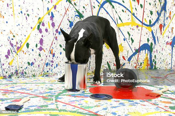 Artistic Pup Stock Photo - Download Image Now - Dog, Paint, Animal