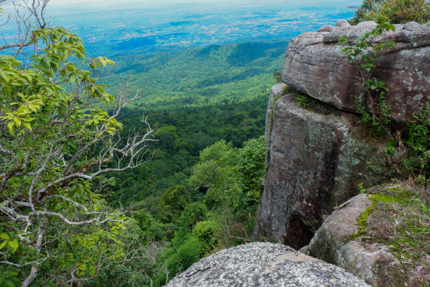 istock beautiful stone cliff with forest and mountain background 964708206