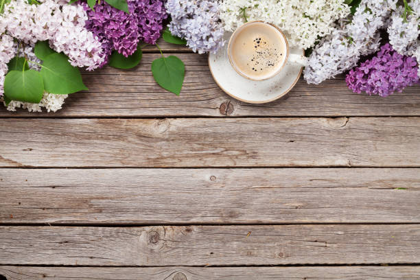 istock Colorful lilac flowers and coffee cup 964708594