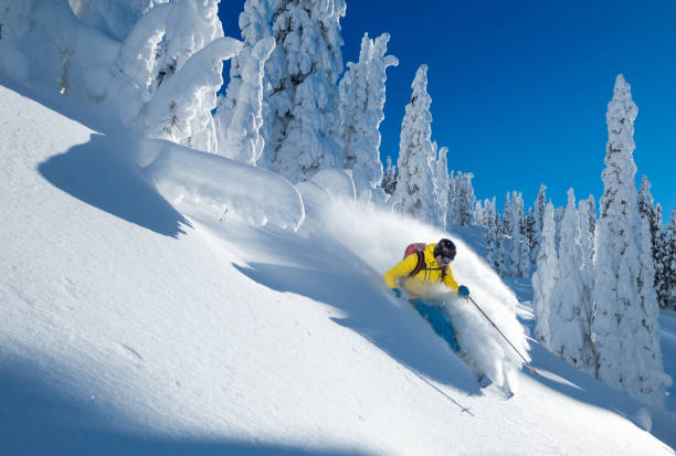 pratique du ski dans la poudreuse  - skiing powder snow canada winter photos et images de collection