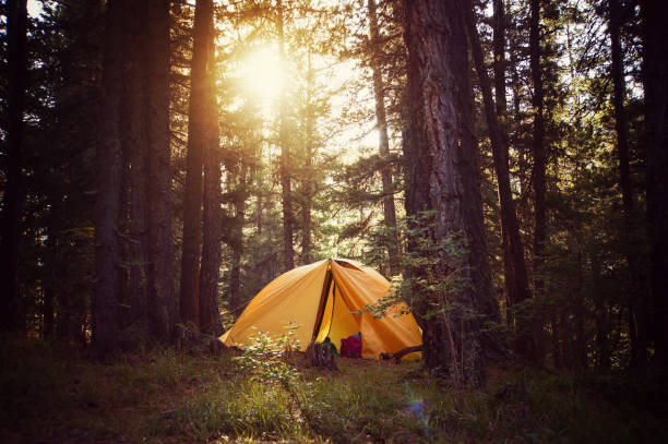 Professional tourist tent. Camping at night in the mountains forest