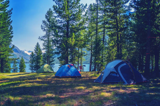 istock Camping tent in campground at national park. 964725672