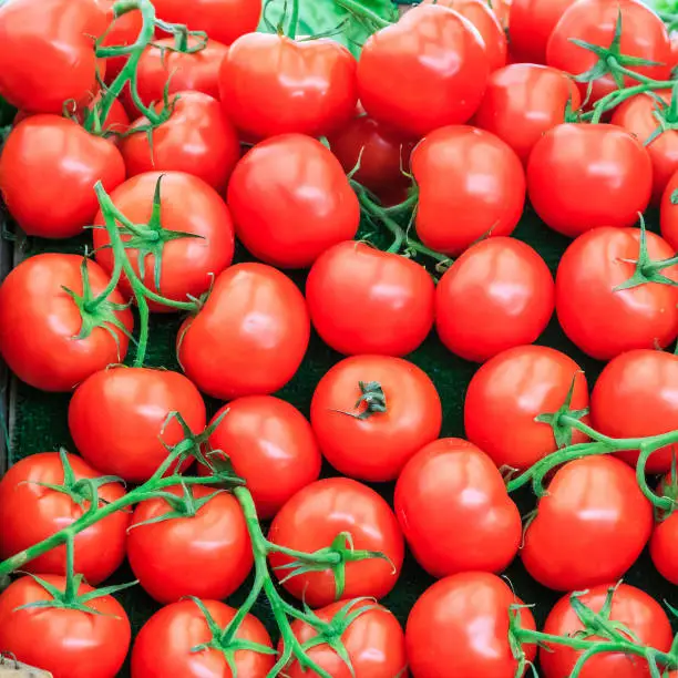 Pile of fresh tomatoes in market