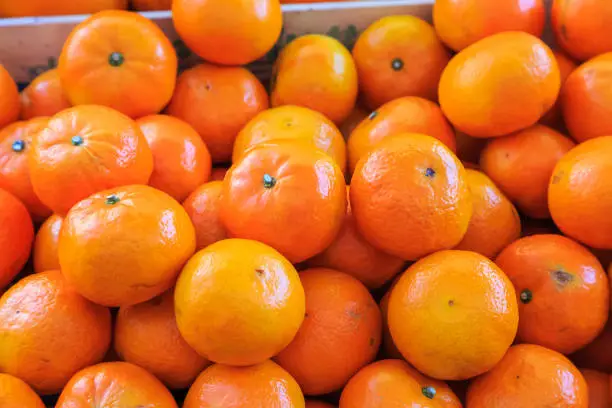 Pile of fresh orange fruits in market